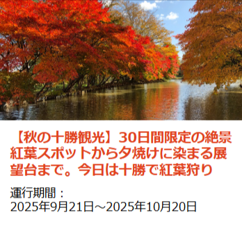 スタッフおすすめ観光プラン｜北海道のバスツアーのことなら｜北海道アクセスネットワーク-10-17-2025_07_30_AM