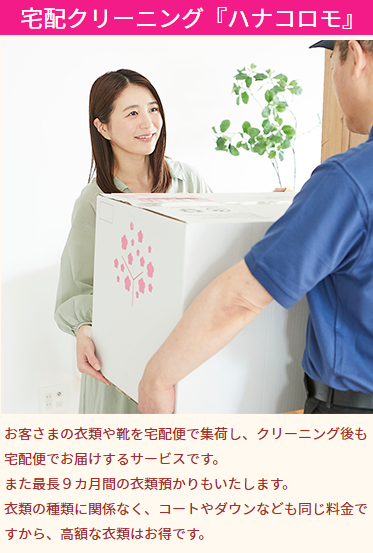 トップページ-ダスキンのメリーメイド「家事代行サービス」のご利用はダスキンほづみまでお問合せください。-株式会社ほづみ-10-06-2025_12_47_PM (1)