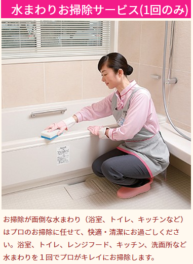 トップページ-ダスキンのメリーメイド「家事代行サービス」のご利用はダスキンほづみまでお問合せください。-株式会社ほづみ-10-06-2025_12_49_PM