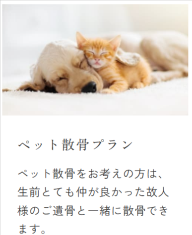 海洋記念葬シーセレモニー-東京-横浜-全国対応15万円代からの海洋散骨-10-15-2025_11_07_AM (1)